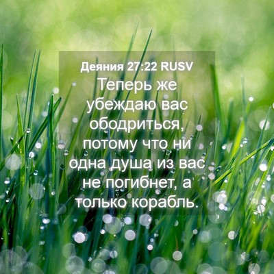 Picture 04 - Деяния 27:22 RUSV - Теперь же убеждаю вас - Bible Verse Picture