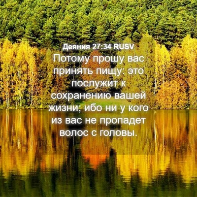 Picture 04 - Деяния 27:34 RUSV - Потому прошу вас принять - Bible Verse Picture