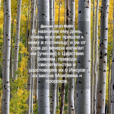 Picture 04 - Деяния 28:23 RUSV - И, назначив ему день, очень - Bible Verse Picture