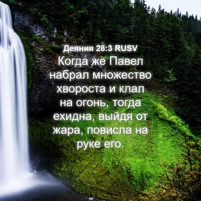 Picture 04 - Деяния 28:3 RUSV - Когда же Павел набрал - Bible Verse Picture
