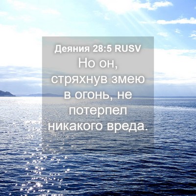 Picture 04 - Деяния 28:5 RUSV - Но он, стряхнув змею в - Bible Verse Picture