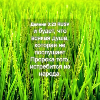 Picture 04 - Деяния 3:23 RUSV - и будет, что всякая душа, - Bible Verse Picture