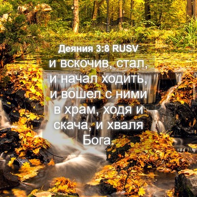 Picture 04 - Деяния 3:8 RUSV - и вскочив, стал, и начал - Bible Verse Picture