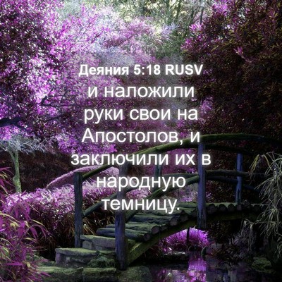 Picture 04 - Деяния 5:18 RUSV - и наложили руки свои на - Bible Verse Picture