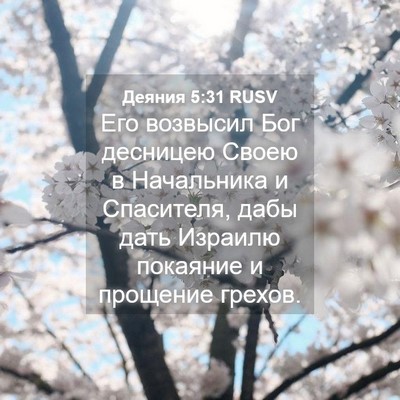 Picture 04 - Деяния 5:31 RUSV - Его возвысил Бог десницею - Bible Verse Picture