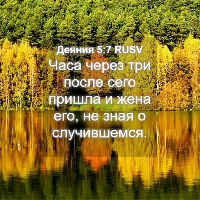 Picture 04 - Деяния 5:7 RUSV - Часа через три после сего - Bible Verse Picture