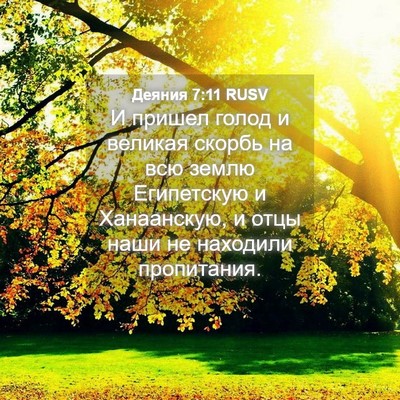 Picture 04 - Деяния 7:11 RUSV - И пришел голод и великая - Bible Verse Picture