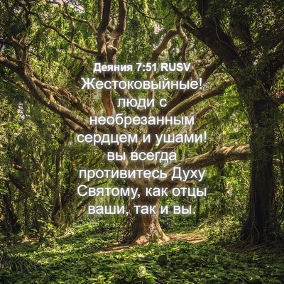 Picture 04 - Деяния 7:51 RUSV - Жестоковыйные! люди с - Bible Verse Picture