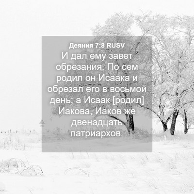 Picture 04 - Деяния 7:8 RUSV - И дал ему завет обрезания. - Bible Verse Picture