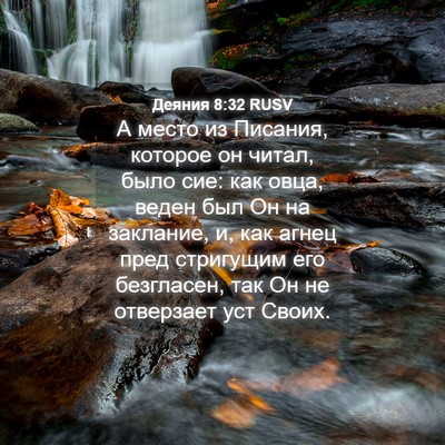 Picture 04 - Деяния 8:32 RUSV - А место из Писания, которое - Bible Verse Picture