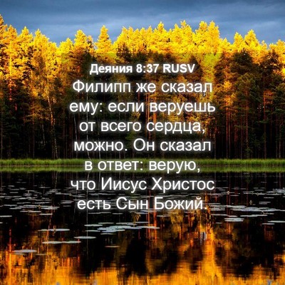 Picture 04 - Деяния 8:37 RUSV - Филипп же сказал ему: если - Bible Verse Picture