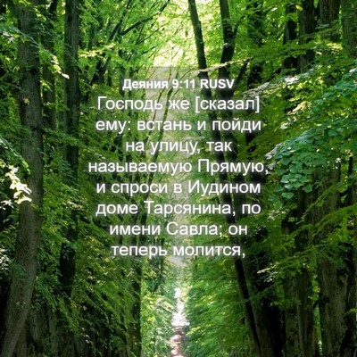 Picture 04 - Деяния 9:11 RUSV - Господь же [сказал] ему: - Bible Verse Picture
