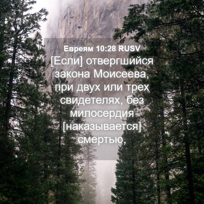 Picture 04 - Евреям 10:28 RUSV - [Если] отвергшийся закона - Bible Verse Picture