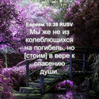 Picture 04 - Евреям 10:39 RUSV - Мы же не из колеблющихся на - Bible Verse Picture