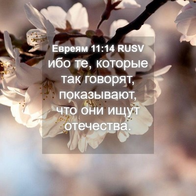 Picture 04 - Евреям 11:14 RUSV - ибо те, которые так - Bible Verse Picture
