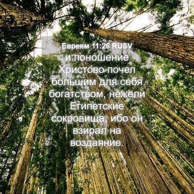 Picture 04 - Евреям 11:26 RUSV - и поношение Христово почел - Bible Verse Picture