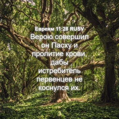 Picture 04 - Евреям 11:28 RUSV - Верою совершил он Пасху и - Bible Verse Picture