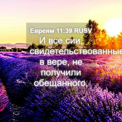 Picture 04 - Евреям 11:39 RUSV - И все сии, - Bible Verse Picture
