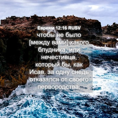 Picture 04 - Евреям 12:16 RUSV - чтобы не было [между вами] - Bible Verse Picture