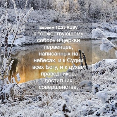 Picture 04 - Евреям 12:23 RUSV - к торжествующему собору и - Bible Verse Picture