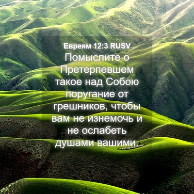 Picture 04 - Евреям 12:3 RUSV - Помыслите о Претерпевшем - Bible Verse Picture