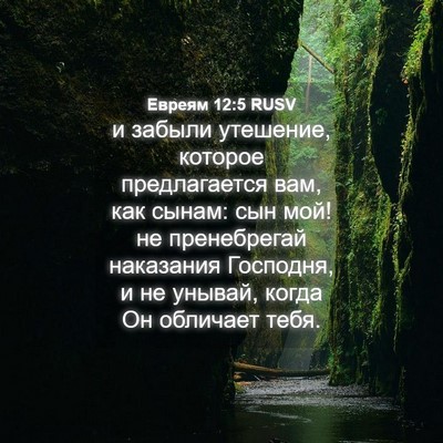 Picture 04 - Евреям 12:5 RUSV - и забыли утешение, которое - Bible Verse Picture