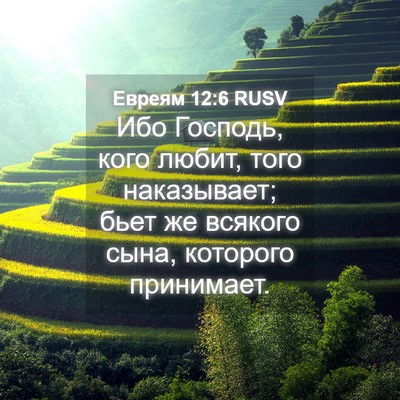 Picture 04 - Евреям 12:6 RUSV - Ибо Господь, кого любит, - Bible Verse Picture