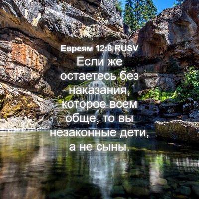 Picture 04 - Евреям 12:8 RUSV - Если же остаетесь без - Bible Verse Picture