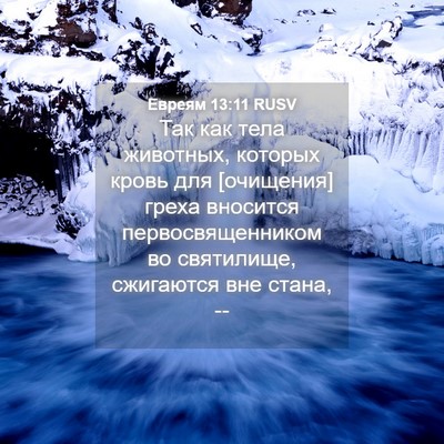 Picture 04 - Евреям 13:11 RUSV - Так как тела животных, - Bible Verse Picture
