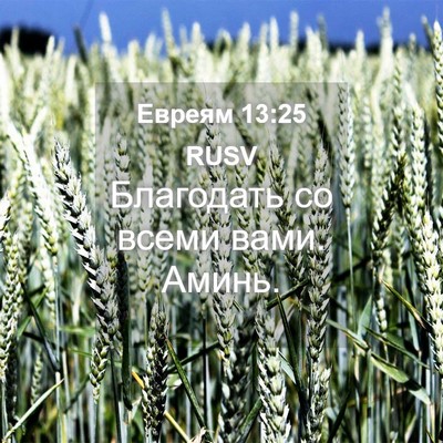 Picture 04 - Евреям 13:25 RUSV - Благодать со всеми вами. - Bible Verse Picture