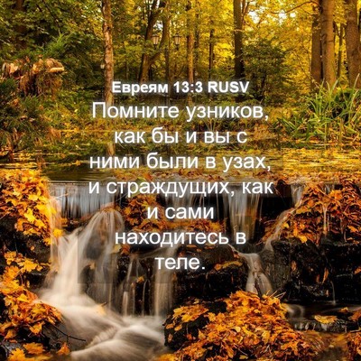 Picture 04 - Евреям 13:3 RUSV - Помните узников, как бы и - Bible Verse Picture