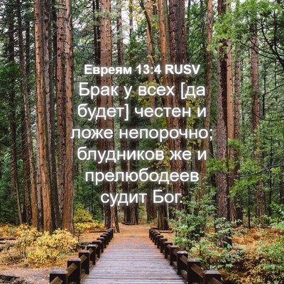 Picture 04 - Евреям 13:4 RUSV - Брак у всех [да будет] - Bible Verse Picture
