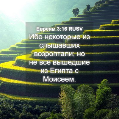 Picture 04 - Евреям 3:16 RUSV - Ибо некоторые из слышавших - Bible Verse Picture
