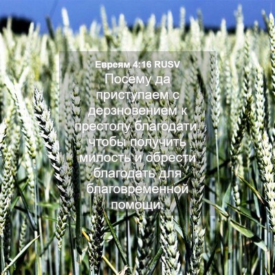 Picture 04 - Евреям 4:16 RUSV - Посему да приступаем с - Bible Verse Picture