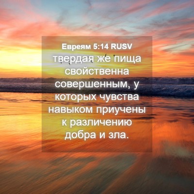 Picture 04 - Евреям 5:14 RUSV - твердая же пища - Bible Verse Picture
