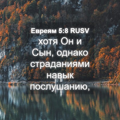 Picture 04 - Евреям 5:8 RUSV - хотя Он и Сын, однако - Bible Verse Picture