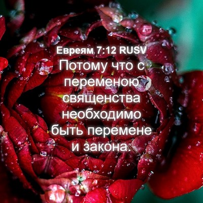 Picture 04 - Евреям 7:12 RUSV - Потому что с переменою - Bible Verse Picture