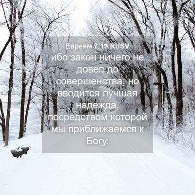 Picture 04 - Евреям 7:19 RUSV - ибо закон ничего не довел - Bible Verse Picture