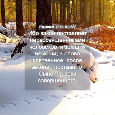 Picture 04 - Евреям 7:28 RUSV - Ибо закон поставляет - Bible Verse Picture