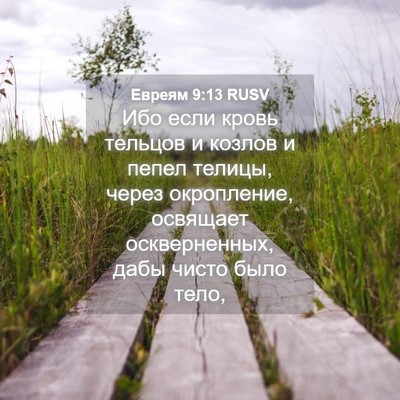 Picture 04 - Евреям 9:13 RUSV - Ибо если кровь тельцов и - Bible Verse Picture