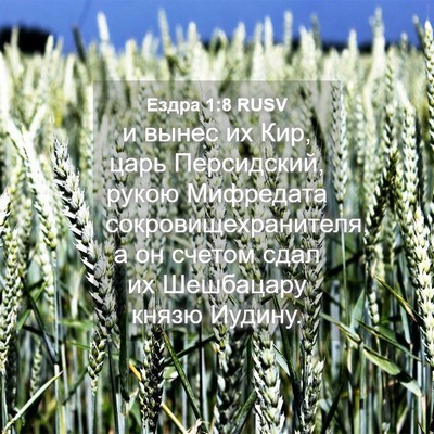 Picture 04 - Ездра 1:8 RUSV - и вынес их Кир, царь - Bible Verse Picture