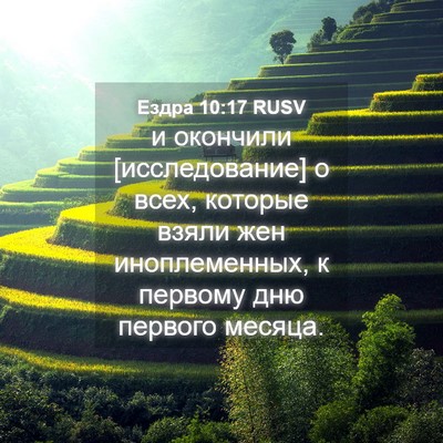 Picture 04 - Ездра 10:17 RUSV - и окончили [исследование] о - Bible Verse Picture
