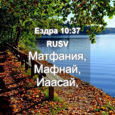 Picture 04 - Ездра 10:37 RUSV - Матфания, Мафнай, - Bible Verse Picture