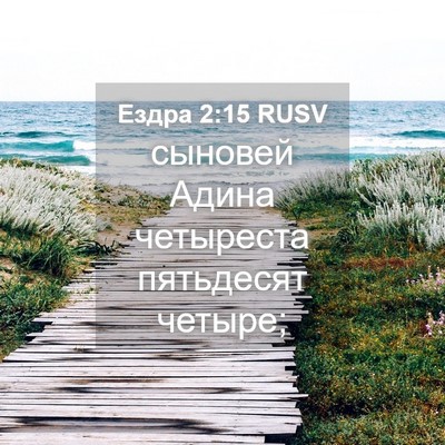 Picture 04 - Ездра 2:15 RUSV - сыновей Адина четыреста - Bible Verse Picture