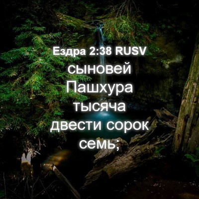 Picture 04 - Ездра 2:38 RUSV - сыновей Пашхура тысяча - Bible Verse Picture