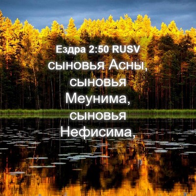 Picture 04 - Ездра 2:50 RUSV - сыновья Асны, сыновья - Bible Verse Picture