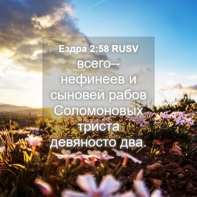 Picture 04 - Ездра 2:58 RUSV - всего--нефинеев и сыновей - Bible Verse Picture