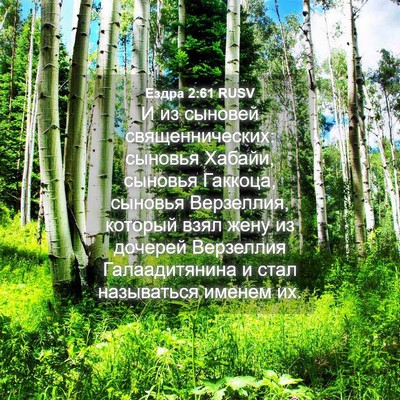 Picture 04 - Ездра 2:61 RUSV - И из сыновей - Bible Verse Picture