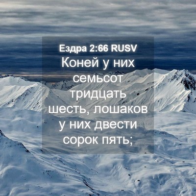 Picture 04 - Ездра 2:66 RUSV - Коней у них семьсот - Bible Verse Picture