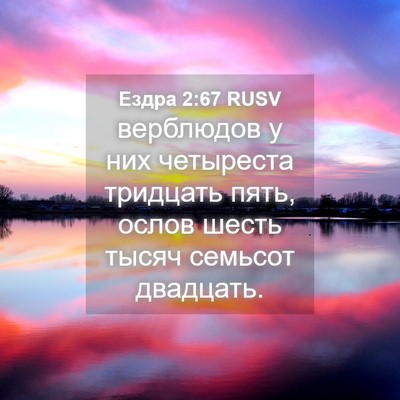 Picture 04 - Ездра 2:67 RUSV - верблюдов у них четыреста - Bible Verse Picture